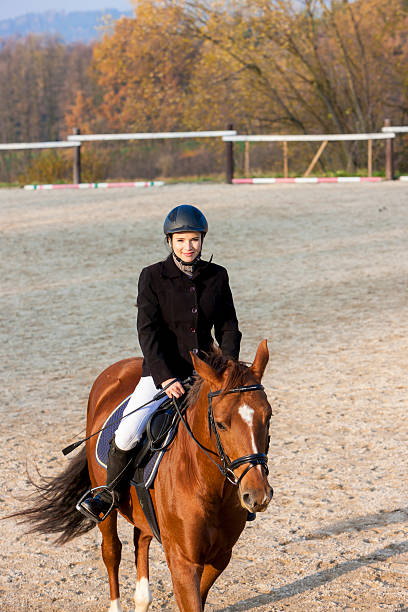 equestre a cavallo - horsewhip foto e immagini stock