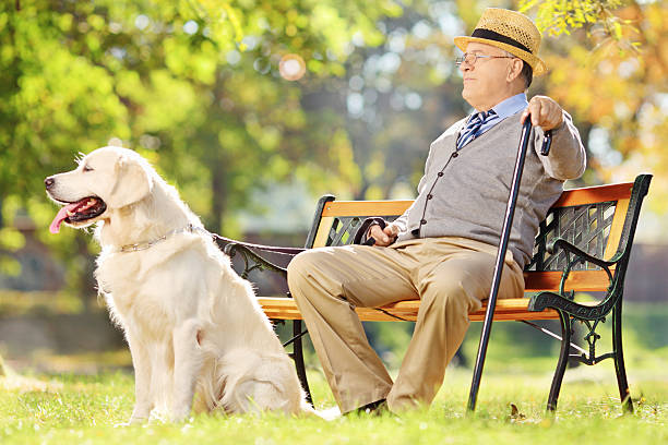 istock Senior gentleman seated on bench with his dog 469873341