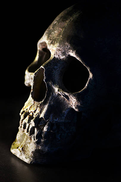 istock Close up of cracked and damaged human skull 469873361