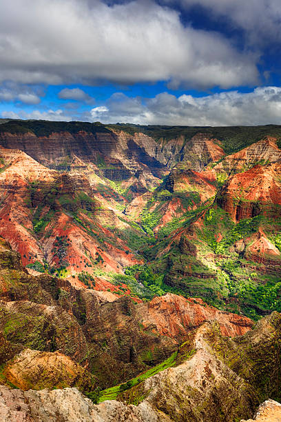 istock Waimea Canyon, Kauai 469874881