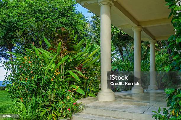 Veranda Vor Dschungel Stockfoto und mehr Bilder von Terrasse - Grundstück - Terrasse - Grundstück, Niemand, Tropischer Regenwald