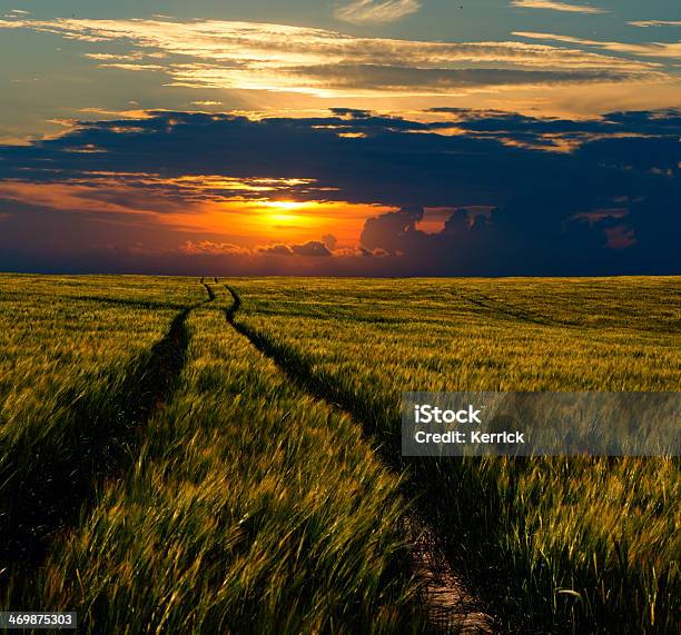 Grainfield In Fantasy Landschaft Stockfoto und mehr Bilder von Ernten - Ernten, Fantasiewelt, Faszination