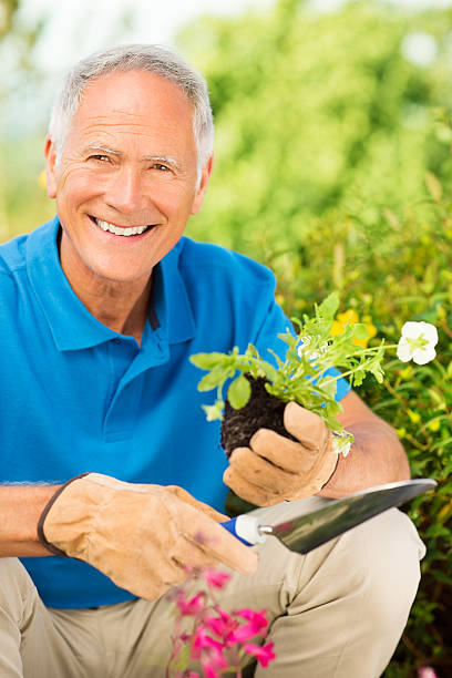Senior Man Holding A Trowel And Sapling In Garden.