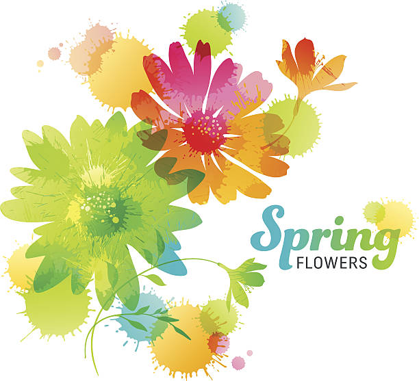 春の花 - white background season spring flower点のイラスト素材／クリップアート素材／マンガ素材／アイコン素材