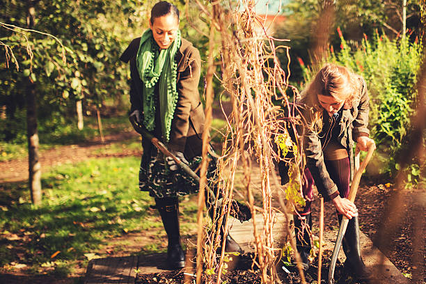 istock gardening woman 469891177