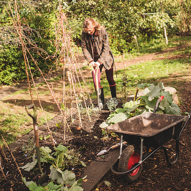istock gardening woman 469891221