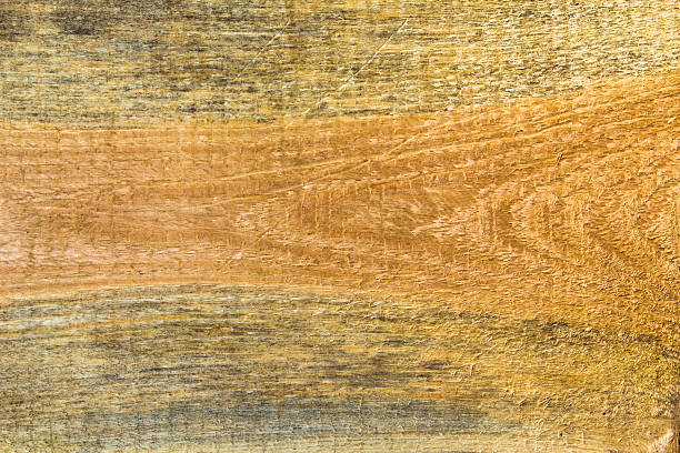 istock Texture pine wood plank high detailed 469892319