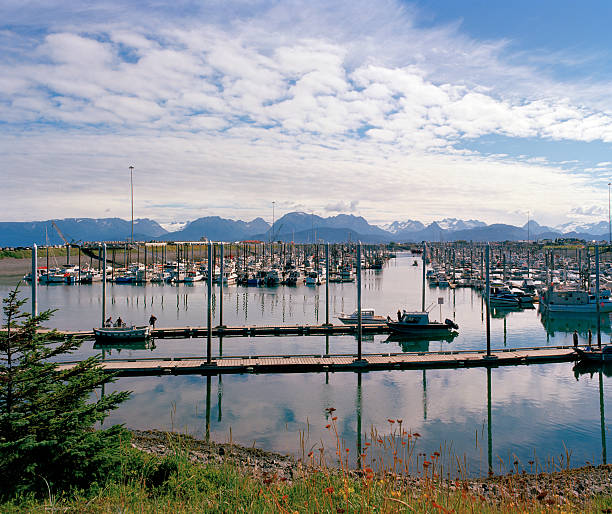 Row of vintage ship hulls at harbor, reflecting masts at blurred water surface foreground (copy space)