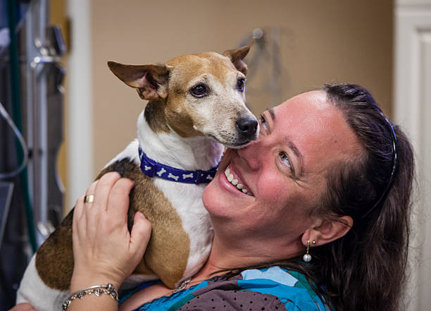 istock Veterinary Technician Smiling With Jack Russell Dog 469893203