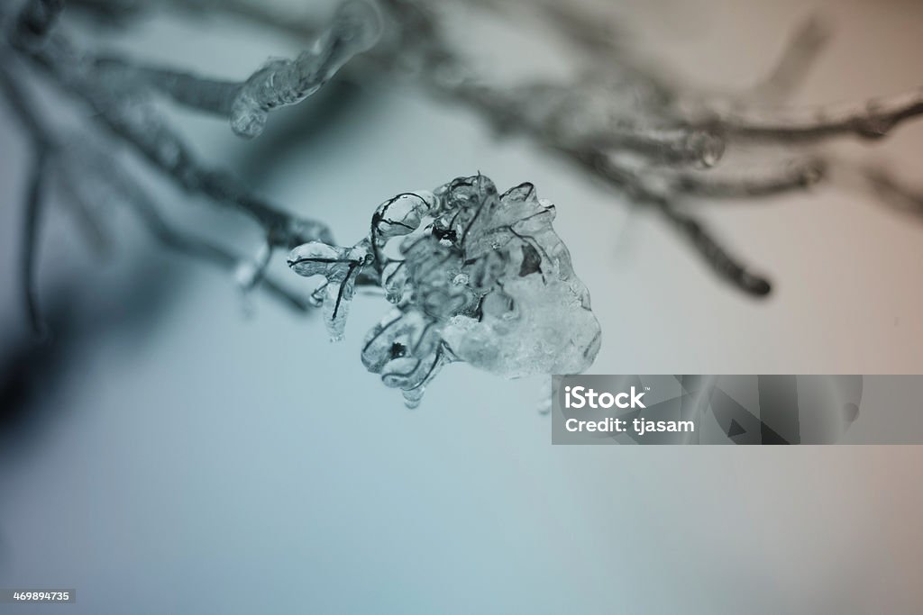 Helado invierno - Foto de stock de Abstracto libre de derechos