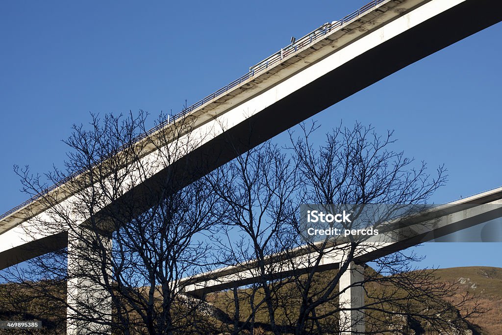 Viaducts de ci-dessous - Photo de Arbre à feuilles caduques libre de droits