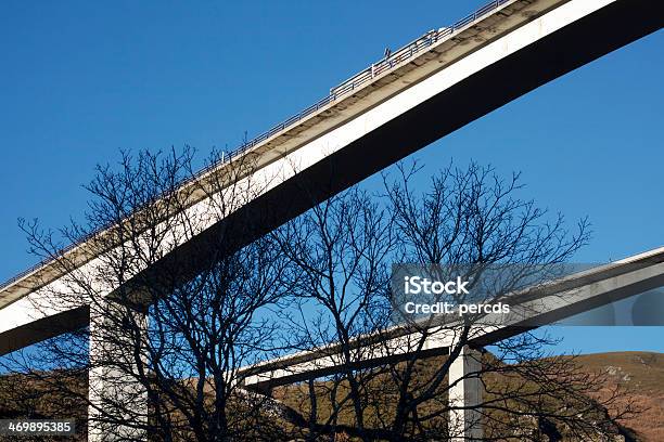 Photo libre de droit de Viaducts De Cidessous banque d'images et plus d'images libres de droit de Arbre à feuilles caduques - Arbre à feuilles caduques, Autoroute, Bois