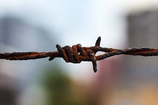 Barbed Wire Rusty barbed wire rusty barbed wire stock pictures, royalty-free photos & images