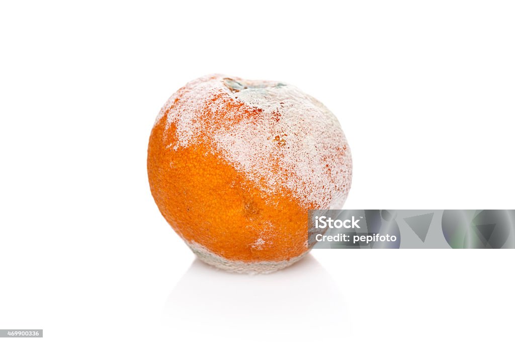 rotten und moldy orange - Lizenzfrei 2015 Stock-Foto