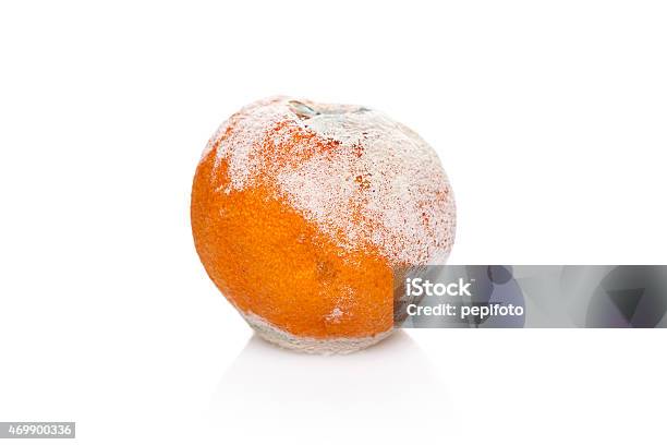 Rotten Und Moldy Orange Stockfoto und mehr Bilder von 2015 - 2015, Alt, Biegung