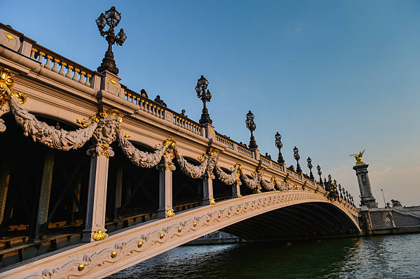 istock Alexandre III Bridge in Paris, France 469901102
