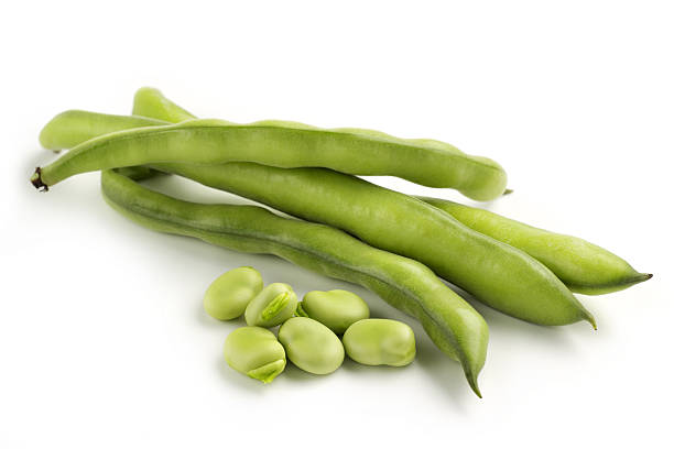 broad bean pods stock photo