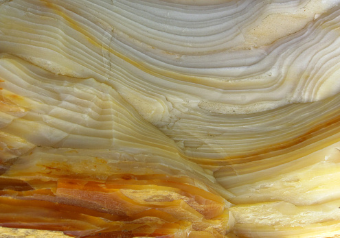 Texture of opal wood, macro