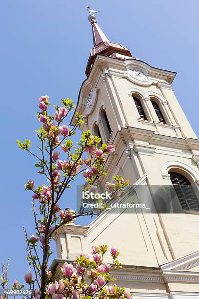 The Reformed Church In Oradea Stock Photo - Download Image Now - Change, Church, Hungarian Culture