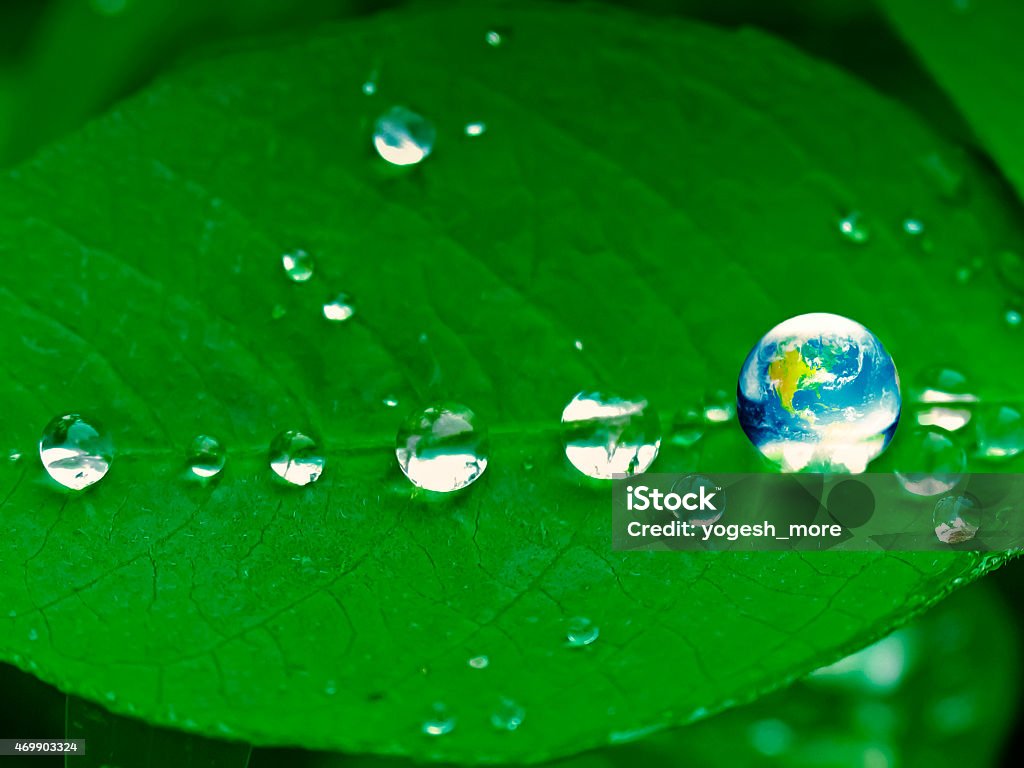 Earth with water droplets on leaf Green energy concept, Fresh Earth in a water drop Planet Earth Stock Photo