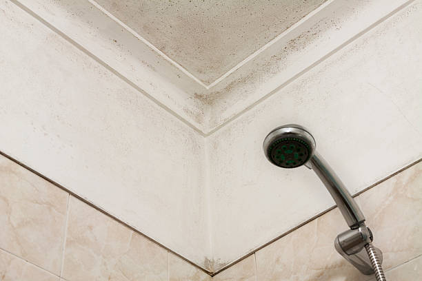 Moldy corner in a shower room