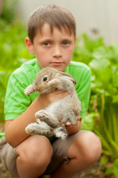 istock The little boy with a rabbit in the hands 469904642