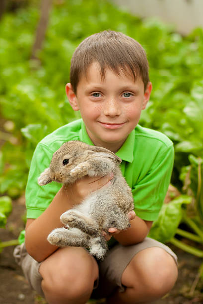 istock The little boy with a rabbit in the hands 469904646