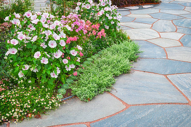 istock Flowerbeds and slates 469904880