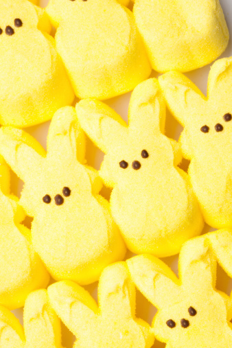 Belen, New Mexico, USA - May 8, 2012: Rows of yellow Peeps Marshmallow Bunnies on a white background. Peeps Brand marshmallow candies are a combination of sweet colored sugar and fluffy marshmallow. Peeps are made by Just Born, Inc. of Bethlehem, PA, a family-owned candy manufacturer.