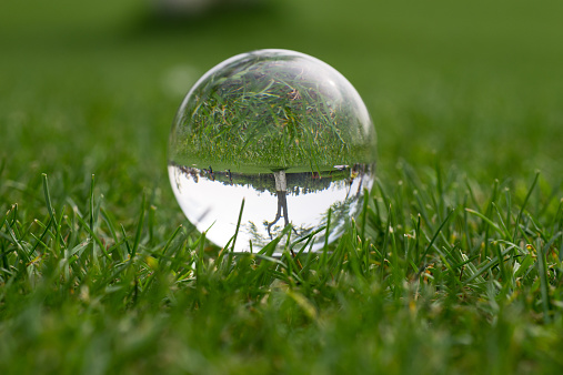 Crystal ball on the grass