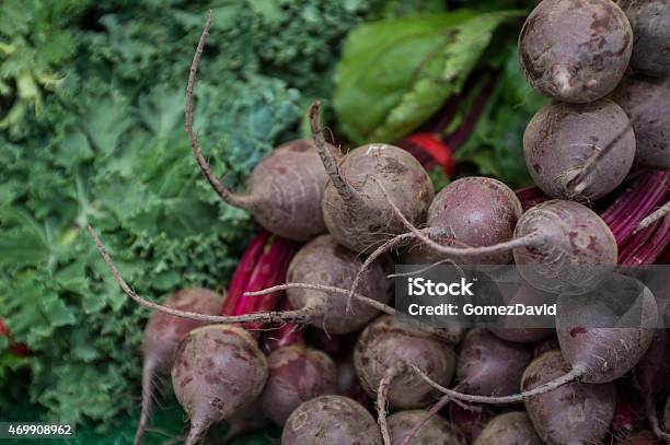 Closeup Organic Beets At Outdoor Farmers Market Stock Photo - Download Image Now - 2015, Agriculture, Beet