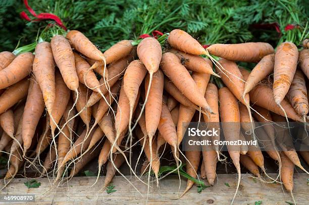 Closeup Organic Carrots At Farmers Market Stock Photo - Download Image Now - 2015, Agriculture, Business