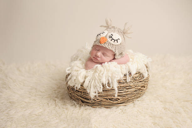 niña recién nacida durmiendo - baby animal nest newborn lying down fotografías e imágenes de stock