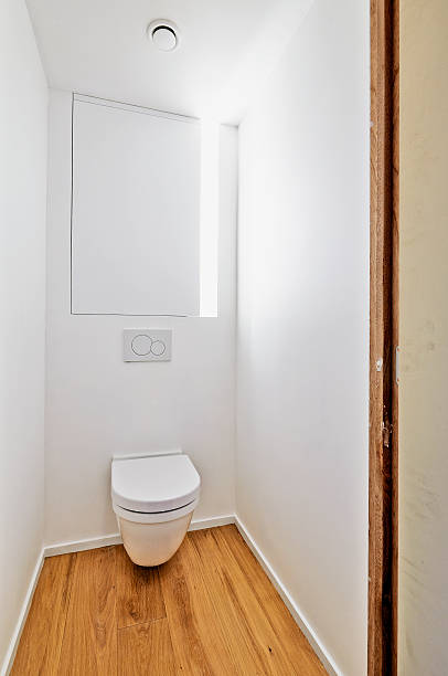 istock Toilet in newly converted house 469910462