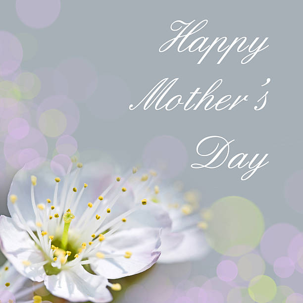 istock Cherry flower Mother's day card 469910584