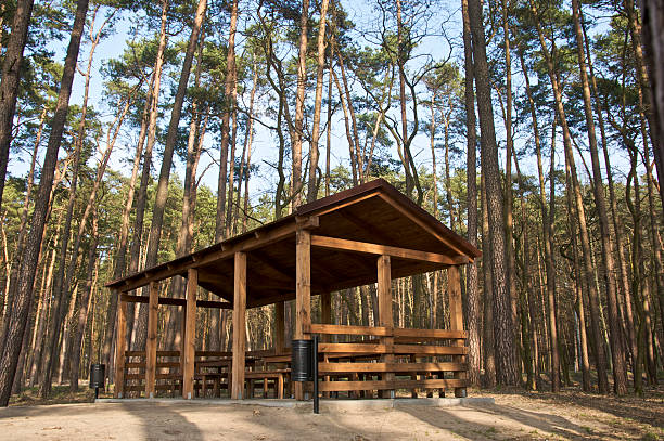 istock Wooden sheltered terrace 469911496