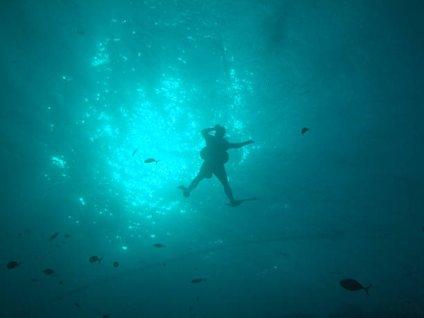 Scuba diver ascent stock photo