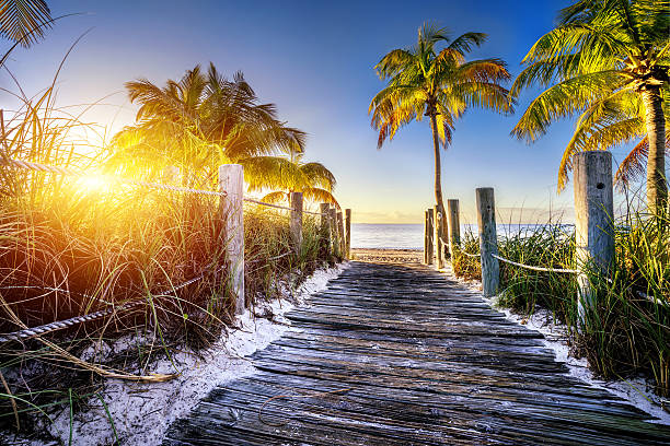 istock A walkway to a beach in the late evening sky 469912992