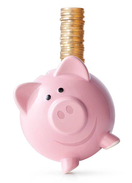 Part of piggy bank in front of green  background.