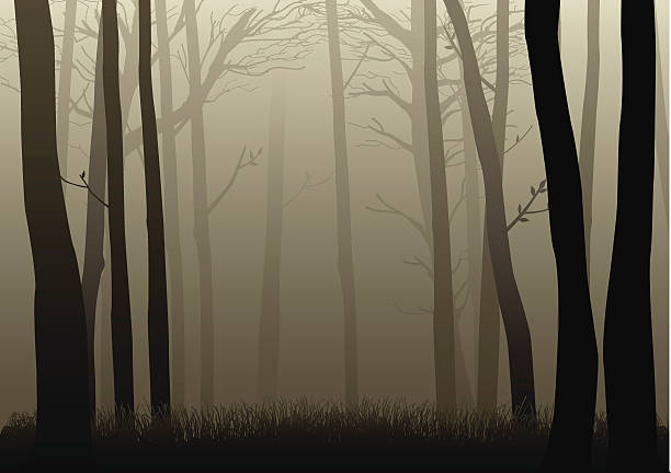 ilustrações, clipart, desenhos animados e ícones de misty floresta - autumn silhouette tree leaf
