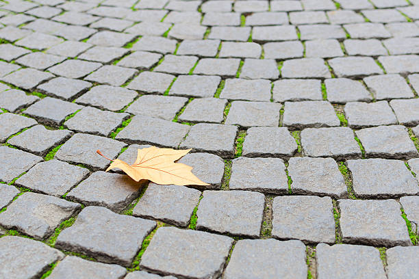 シングル autumn maple 黄色の葉で paveme 秋の石畳の道 - footpath autumn stone old ストックフォトと画像