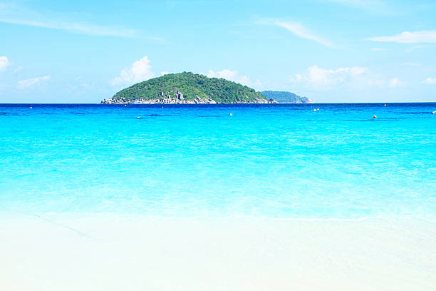 istock Swimming in the sea 469923378
