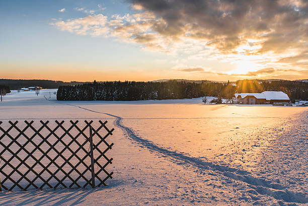 istock Beautiful winter landscape at sunset 469925178
