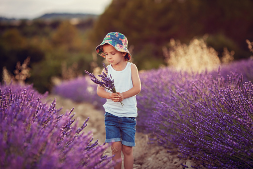 Little fashionable boy having fun in lavender field