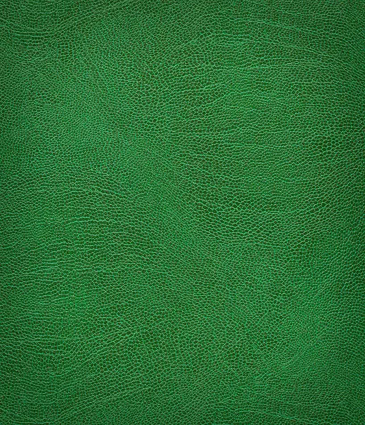 Photo of Green leather texture