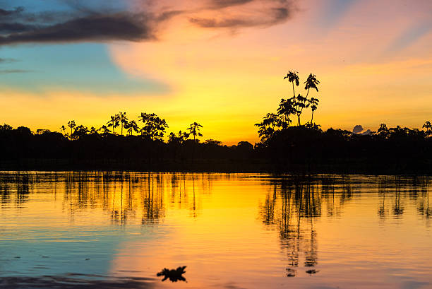 Colorful Amazonian Sunset Colorful sunset deep in the Amazon Rainforest in Peru iquitos photos stock pictures, royalty-free photos & images