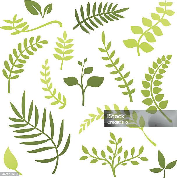 Plant Elements Stock Illustration - Download Image Now - Leaf, Fern, Vine - Plant