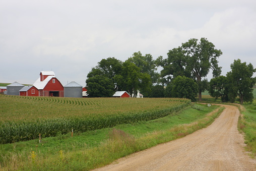 This winding country road in northwest Iowa runs past farmsteads, small towns, and other destinations in rural America. 