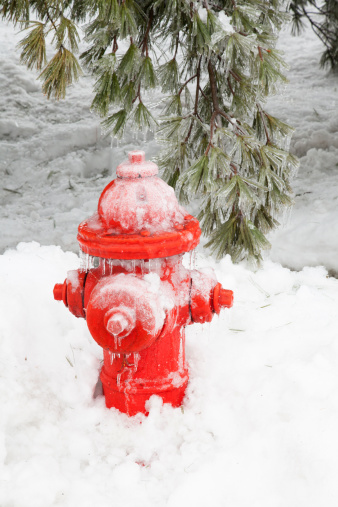 Icy fire hydrant and drooping pine tree branch after an ice storm. Snow is piles around and icicles are everywhere.