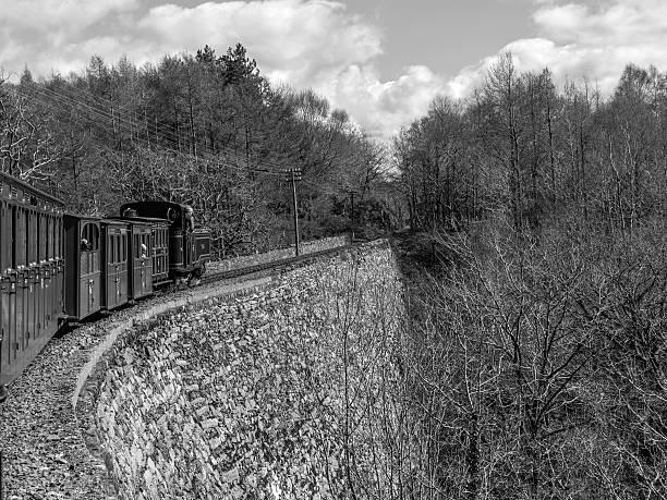 chemin de fer de ffestiniog-taliesin iii (monochrome) - ffestiniog railway photos et images de collection